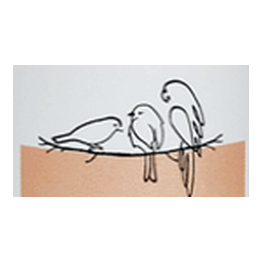 AVES SUPLEMENTOS NUTRICIONALES
